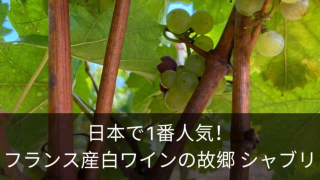 <span class="title">日本で1番人気！ フランス産白ワインの故郷 シャブリ</span>